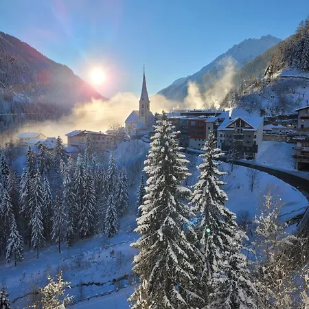 Alojamento de Acomodação e Pequeno-almoço Garni Dias 4*